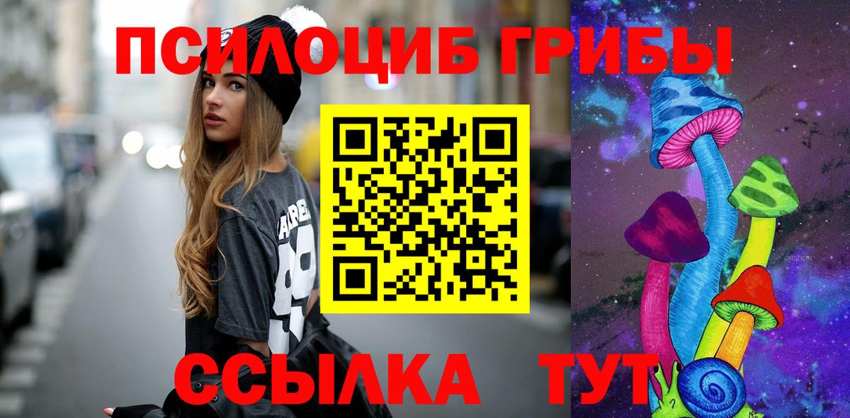 Псилоцибиновые грибы Psilocybe  Псилоцибиновые грибы ЛСД  Заринск  Вход с VPN 