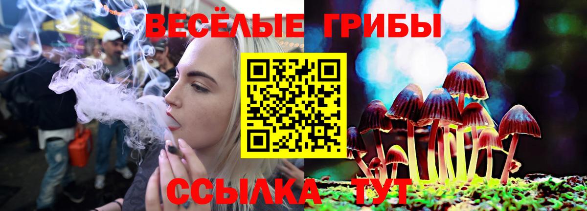 Псилоцибиновые грибы мицелий Заринск